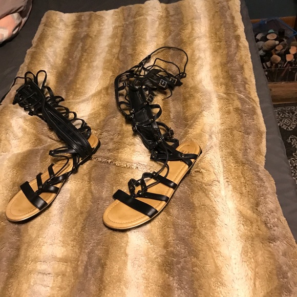 Gladiators. - Picture 1 of 1