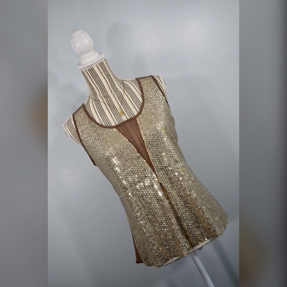 BKE Tops - 5/$25 {bke} Sheer Gold & Silver Sequined Top