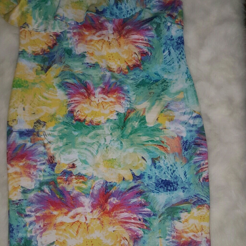 Beautiful  plus size floral knee length dress.