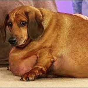 Meet your Posher, Zach