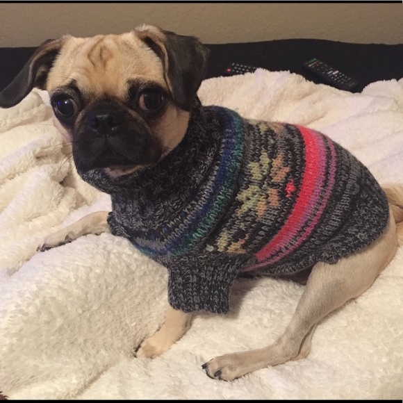 American eagle dog sweater Clearance