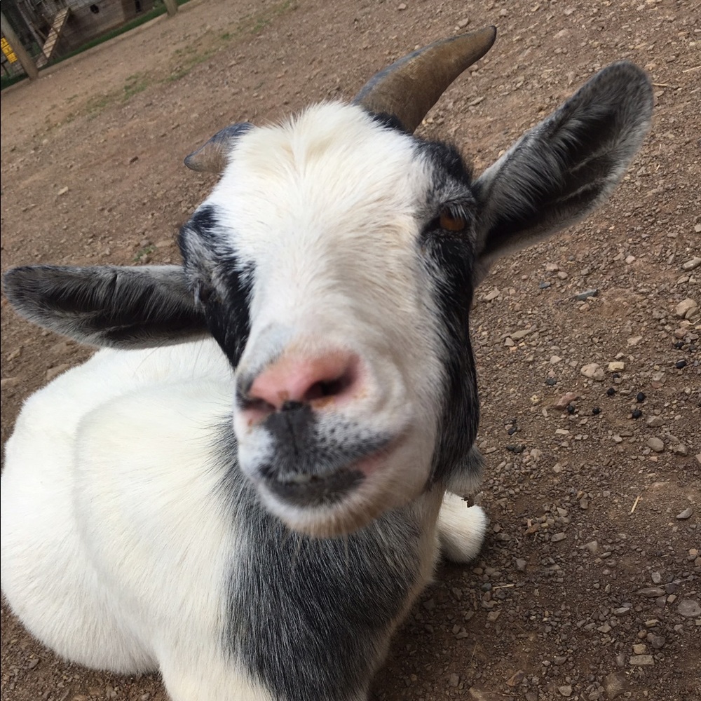Meet your Posher, Kiera