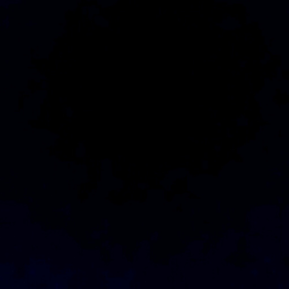 Meet your Posher, Teondra