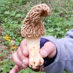 Meet your Posher, Ricky