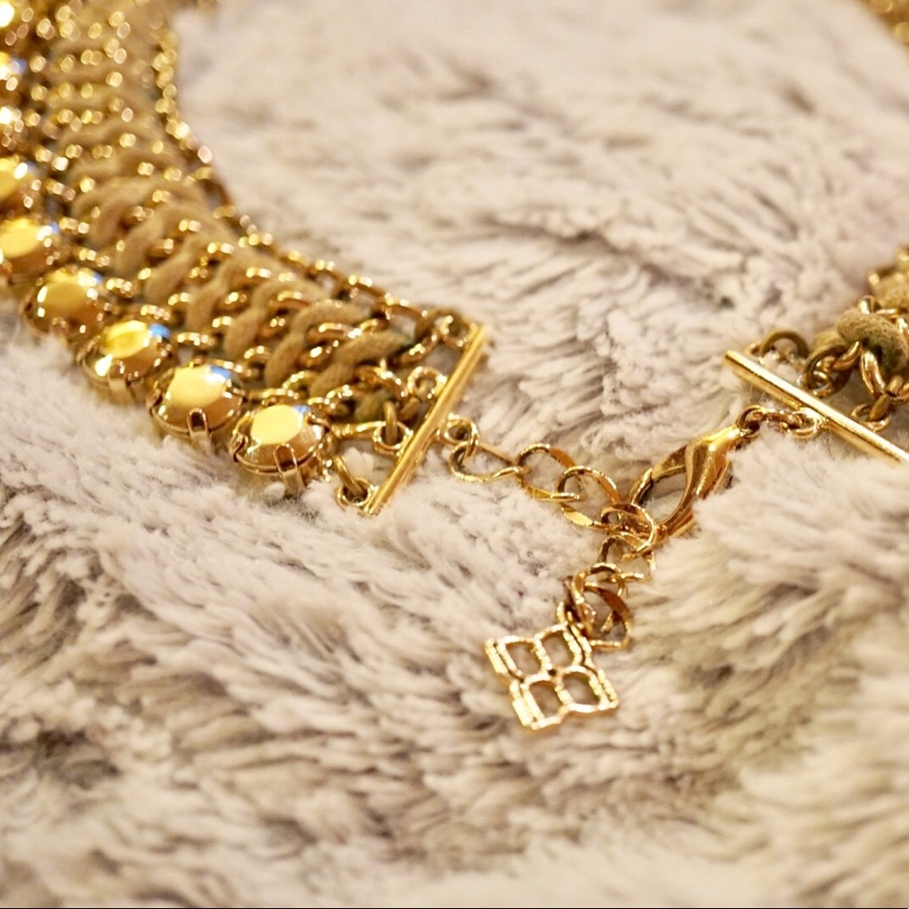 BCBG Gold & Bold Necklace