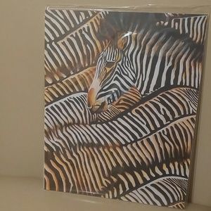 Beautiful zebra painting 8.5in x 11in