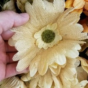 Meet your Posher, Lilly