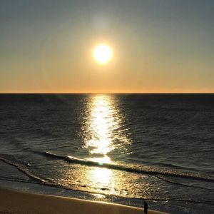 Meet your Posher, Ellen