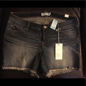 NWT Torrid Denim Shorts Size 18