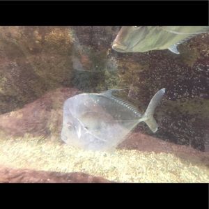 Clothes & accessories