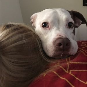 Meet your Posher, Gabe