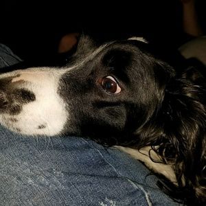 Meet your Posher, Rachelle