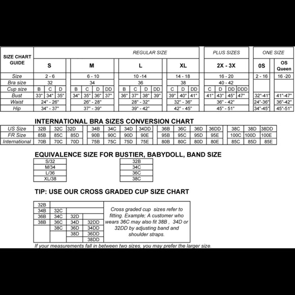 GIANI TEDDY (curvy) - Picture 7 of 7