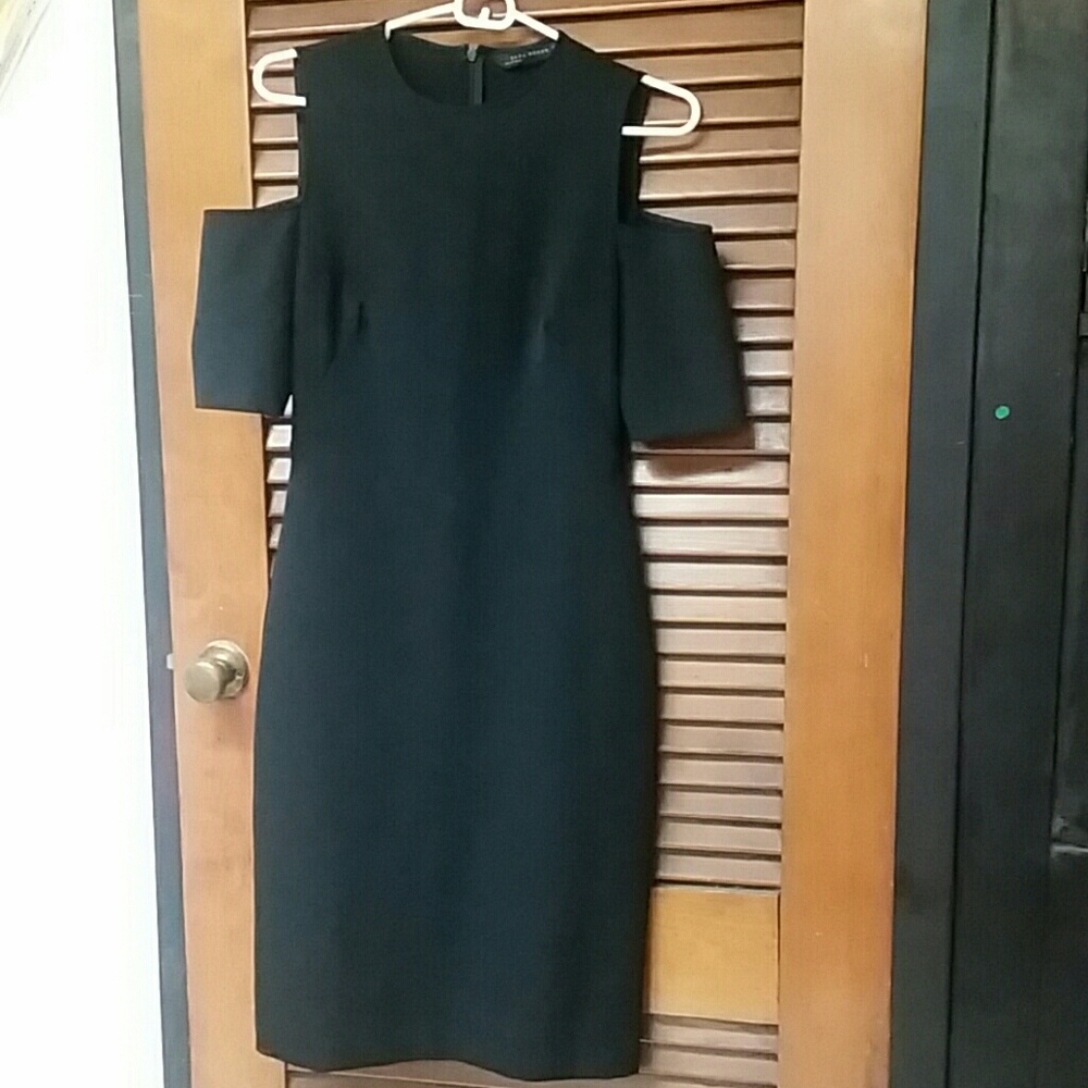 Zara dress