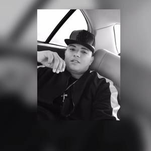 Meet your Posher, Elmer