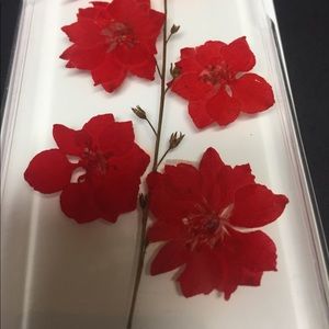 H&M Accessories - IPHONE 6 Phone Case - Clear Red Flower real flower H&M Accessories - IPHONE 6 Phone Case - Clear Red Flower real flower