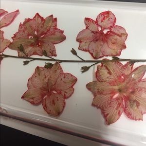 H&M Accessories - IPHONE 6 Phone Case - Clear Red Flower real flower H&M Accessories - IPHONE 6 Phone Case - Clear Red Flower real flower