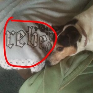 Meet your Posher, Mario