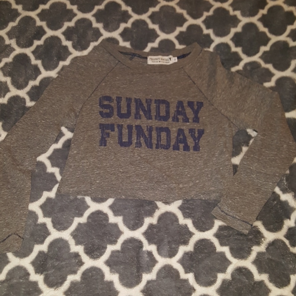 🌹Grey Long Sleeve Crop Top - S