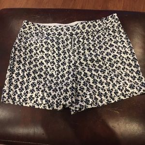Loft Navy and White Eyelet Shorts
