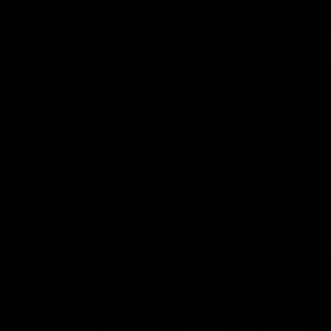 Meet your Posher, Katelyn