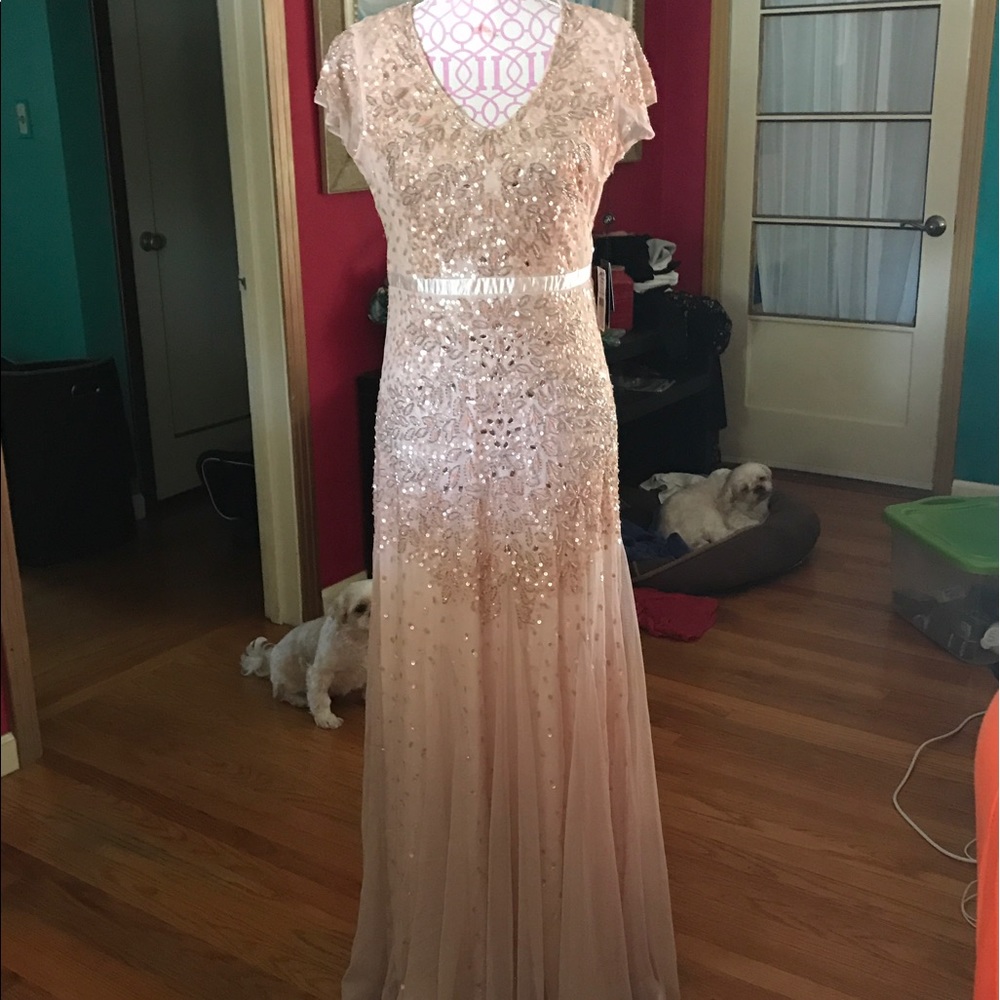 Adrianna Papell dress