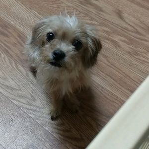 Meet your Posher, Vee