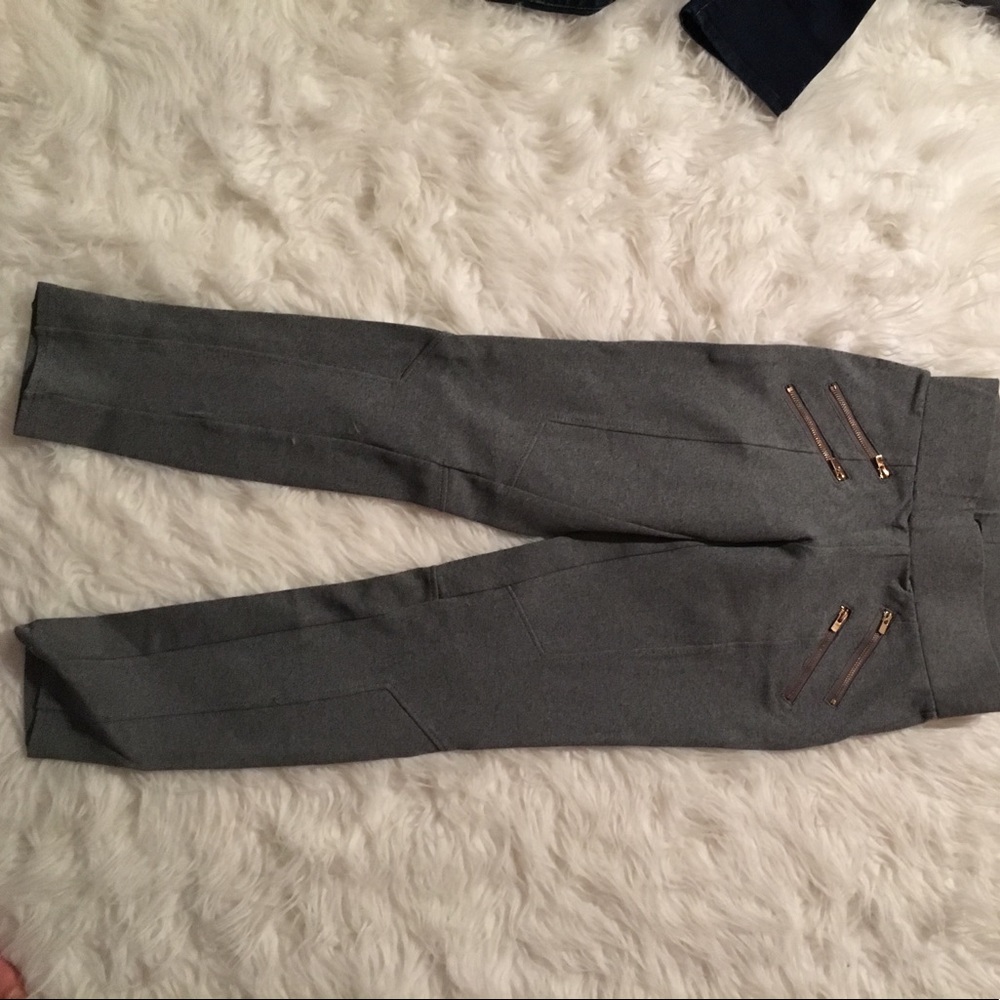 Riding pants. Gray gold zippers