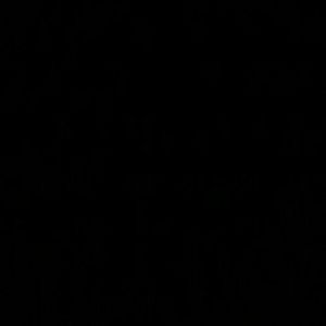 Meet your Posher, Nia