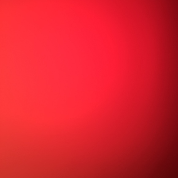 Meet your Posher, Rudy - Picture 1 of 1