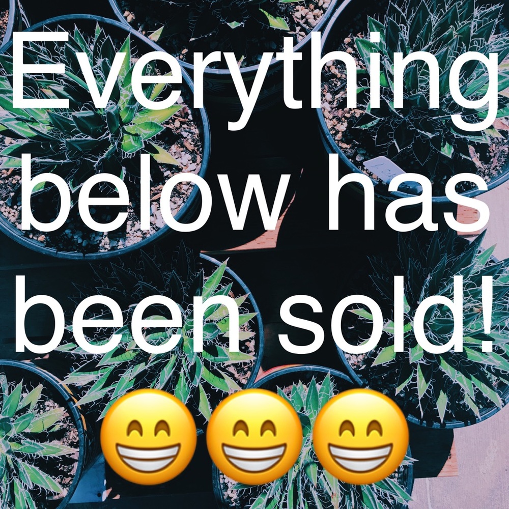 ⬇️⬇️⬇️
