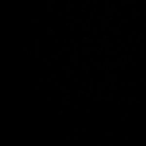 Meet your Posher, Jimmy