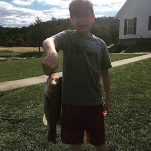 Meet your Posher, Brayden