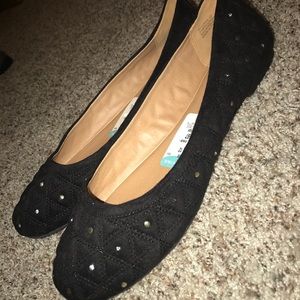 Black Zigi Soho flats