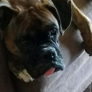 Meet your Posher, Alison