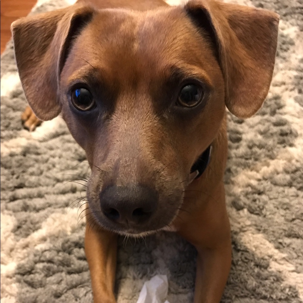 Meet your Posher, Aika