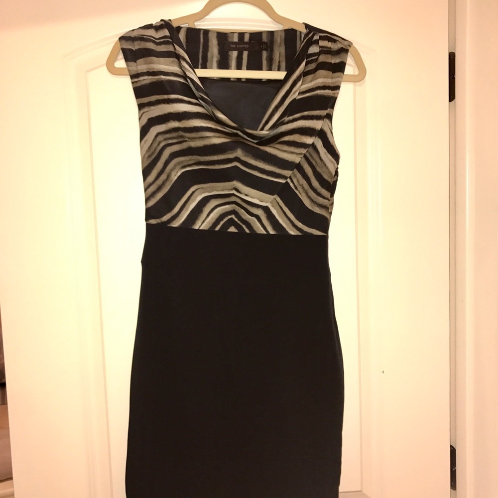 Worn Once! Animal Print Shift Dress