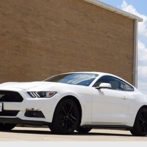 Meet your Posher, Armando