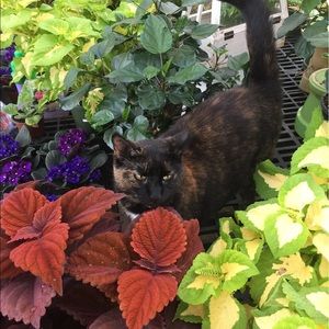 Meet your Posher, Lori