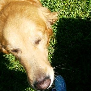 Meet your Posher, Abigail