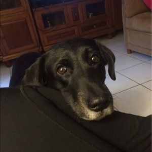 Meet your Posher, Ana