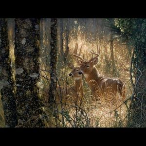 Meet your Posher, Jada