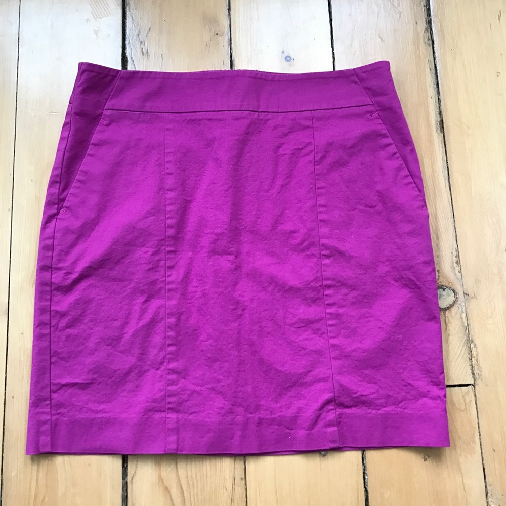 Ann Taylor skirt
