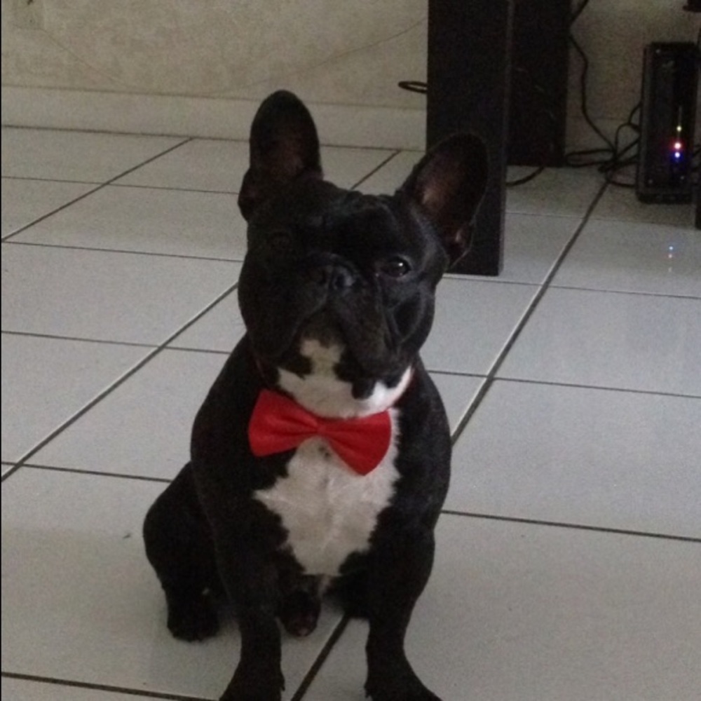 Meet your Posher, Cyrena