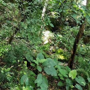 Meet your Posher, Jacky