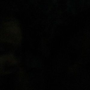 Meet your Posher, Ann