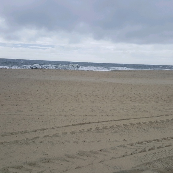 Meet your Posher, Jill - Picture 1 of 1