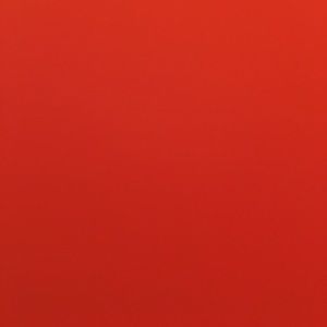 Meet your Posher, Shane