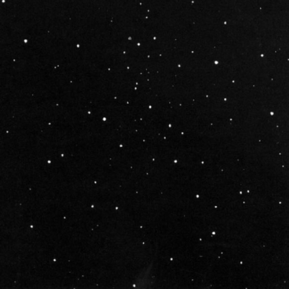 Meet your Posher, ____