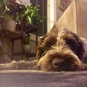 Meet your Posher, Ailisa